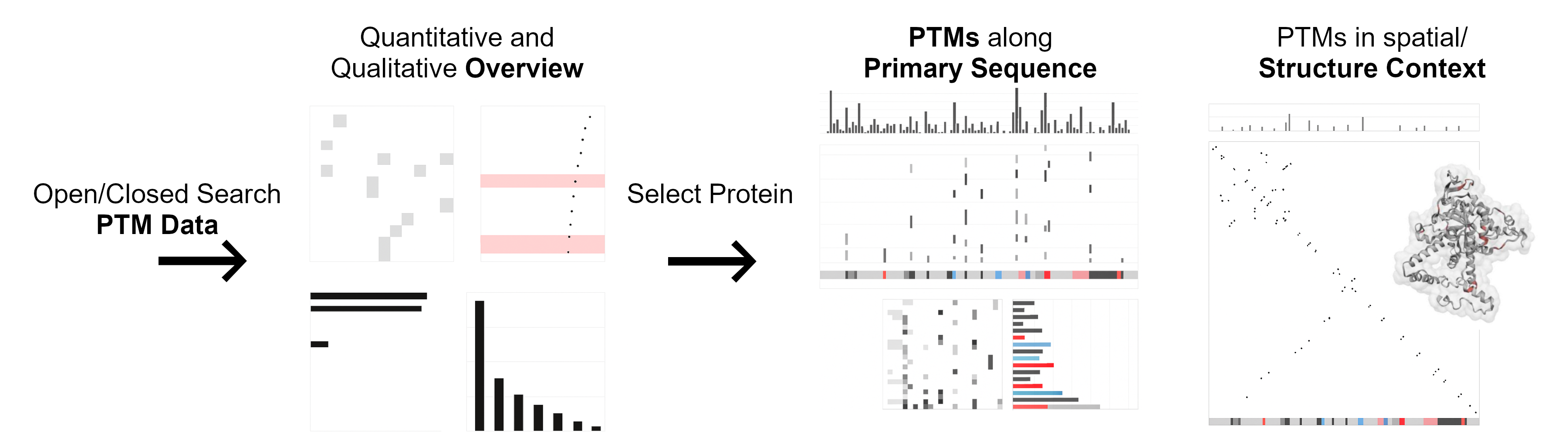 Workflow representation of PTMVision from data upload to visualizations.